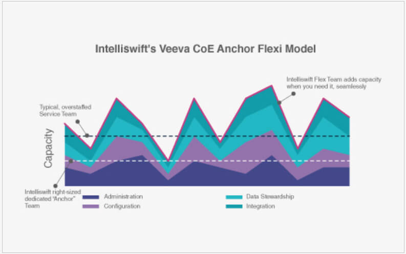 Veeva CoE Diagram